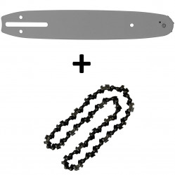 Guide 10 pouces (26 cm) avec chaîne 40 maillons pour tronçonneuse élagueuse 25 cm3