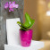 Lot de 3 pots pour orchidées avec réserve d'eau - Orchidea pourpre 2 litres